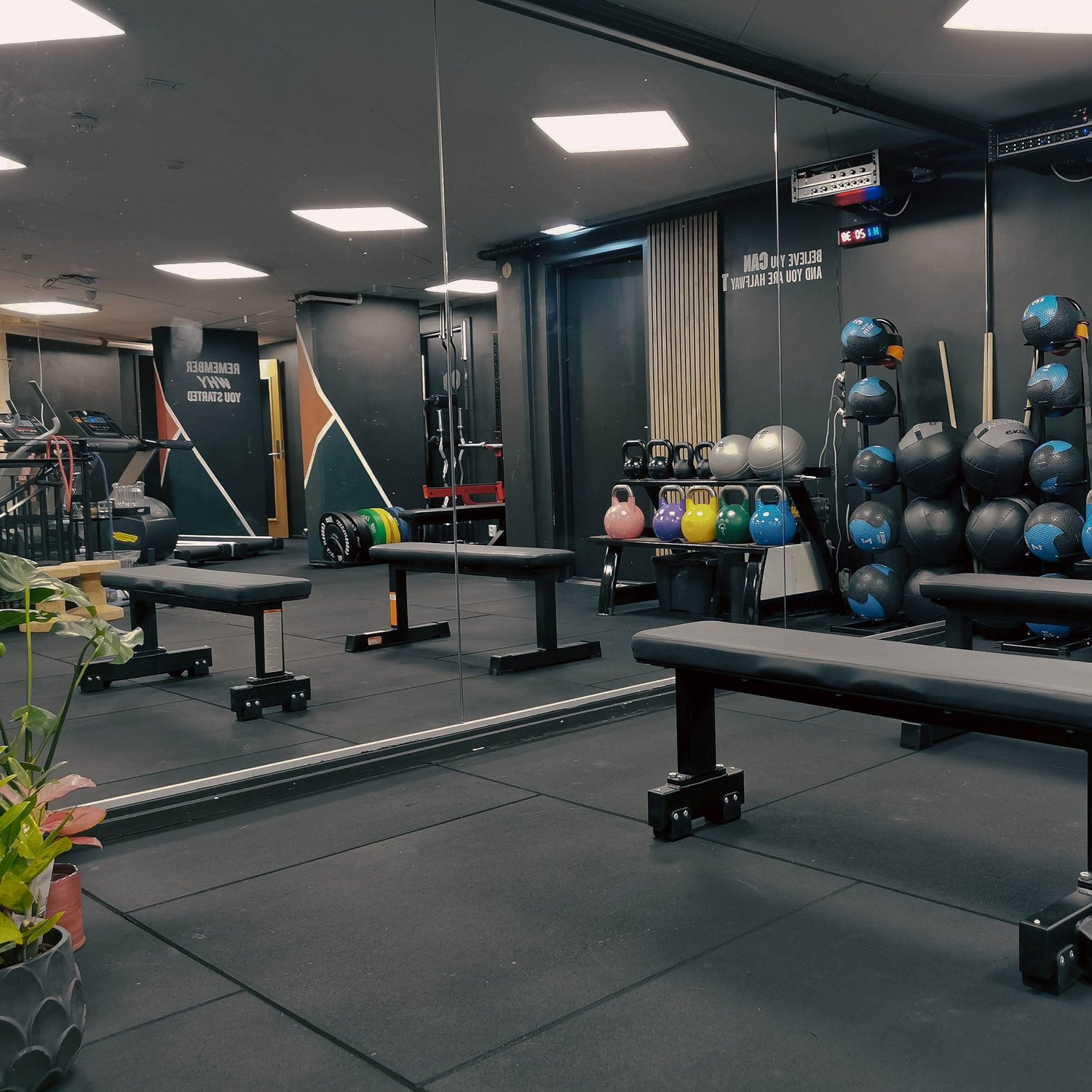 Treningsstudioet hos House of Health i Apotekergata med styrkeutstyr, baller og frivekter